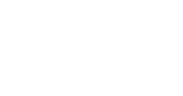 fronius-system-partner-logo
